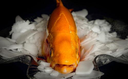 金鳟秘闻,探寻神秘鱼王背后的传奇故事