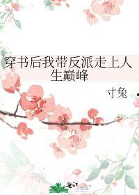 意外穿书后，反派非我不娶,一场跨越时空的甜蜜纠缠