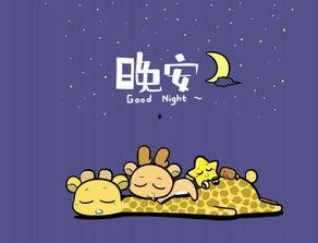 未说完的晚安（等不到的晚安）,那些未说完的温柔告别