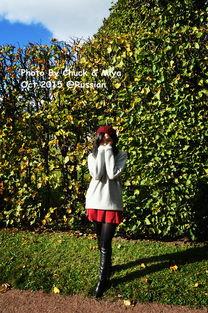 到美国结婚去 第八季,第八季美国婚姻梦想成真记