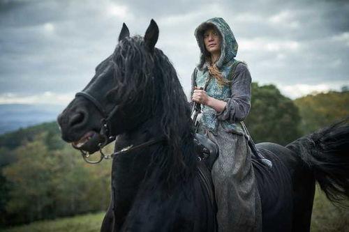 朱迪与潘趣,跨界合作，演绎时尚新篇章