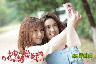 神精学妹 第二季,揭秘大脑奥秘，探索心灵深处