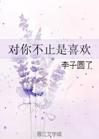 对你不止是喜欢